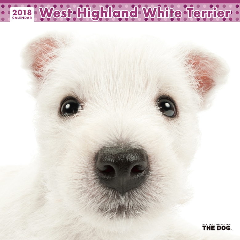 THE DOG 2018年カレンダー ウエスト・ハイランド・ホワイト・テリア