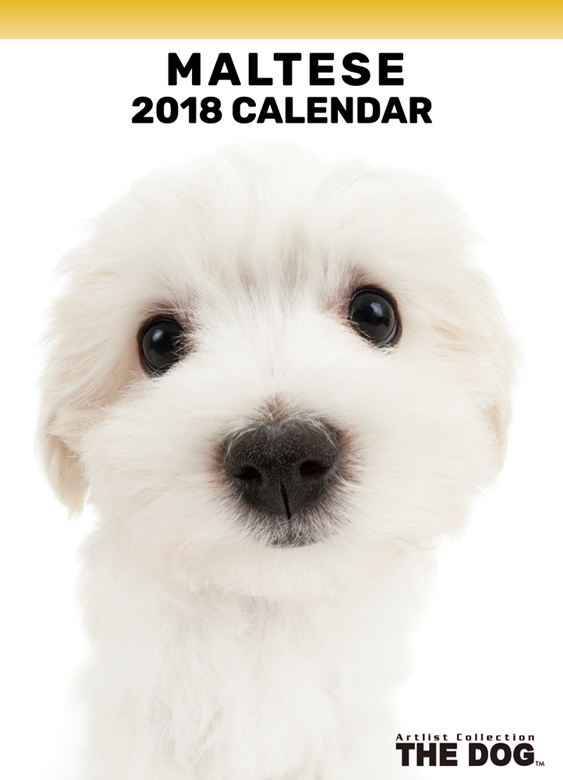 THE DOG 2018年卓上カレンダー マルチーズ