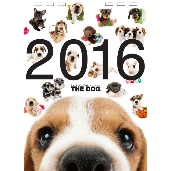 可愛い動物たちの16年カレンダーのご紹介 犬 猫 うさぎ 小鳥等 Ugpetブログ