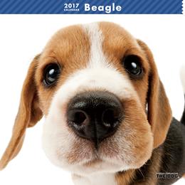 THE DOG 2017年 カレンダー ビーグル