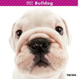 THE DOG 2017年 カレンダー ブルドッグ