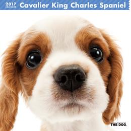 THE DOG 2017年 カレンダー キャバリア・キング・チャールズ・スパニエル