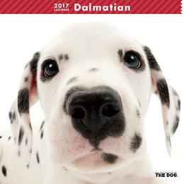 THE DOG 2017年 カレンダー ダルメシアン