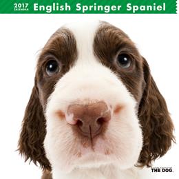 THE DOG 2017年 カレンダー イングリッシュ・スプリンガー・スパニエル
