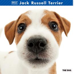 THE DOG 2017年 カレンダー ジャック・ラッセル・テリア