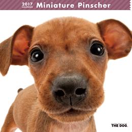 THE DOG 2017年 カレンダー ミニチュア・ピンシャー