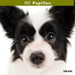 THE DOG 2017年 カレンダー パピヨン