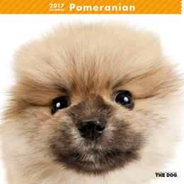 THE DOG 2017年 カレンダー ポメラニアン