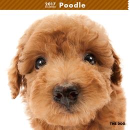 THE DOG 2017年 カレンダー プードル