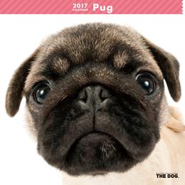 THE DOG 2017年 カレンダー パグ