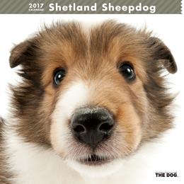 THE DOG 2017年 カレンダー シェットランド・シープドッグ