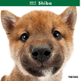 THE DOG 2017年 カレンダー 柴犬