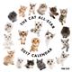 THE CAT 2017年 カレンダー オールスター