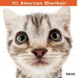 THE CAT 2017年 カレンダー アメリカン・ショートヘア
