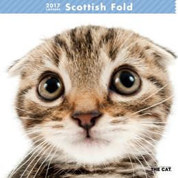 THE CAT 2017年 カレンダー スコティッシュ・フォールド