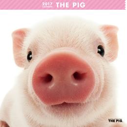 THE PIG 2017年 カレンダー 