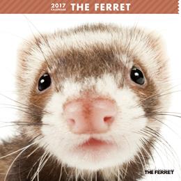 THE FERRET 2017年 カレンダー