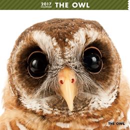THE OWL 2017年 カレンダー
