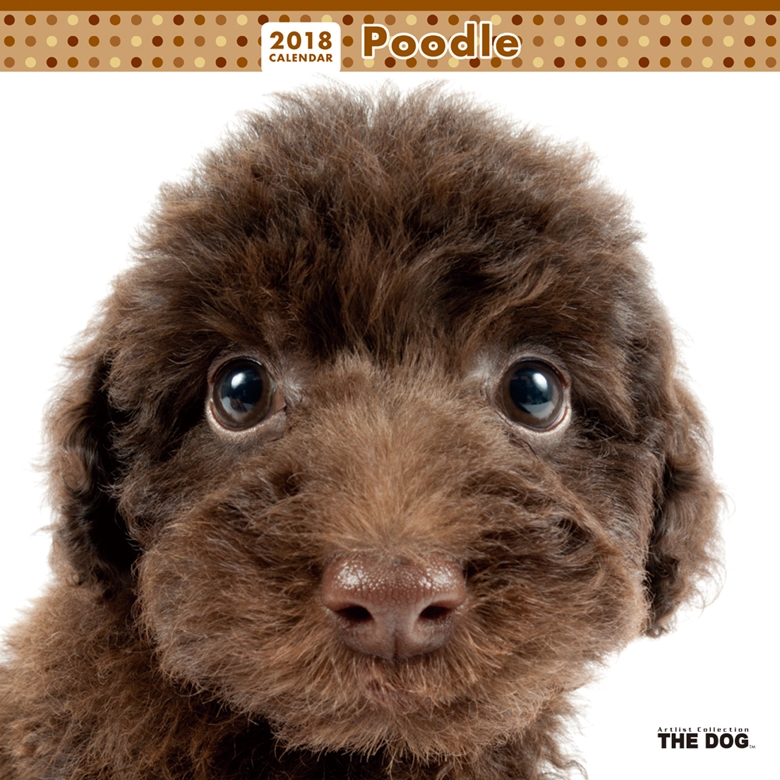 THE DOG 2018年カレンダー プードル