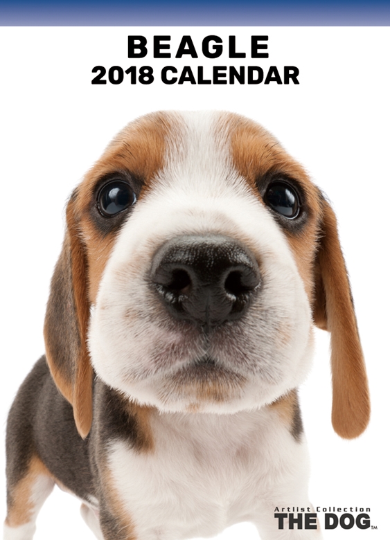THE DOG 2018年卓上カレンダー ビーグル