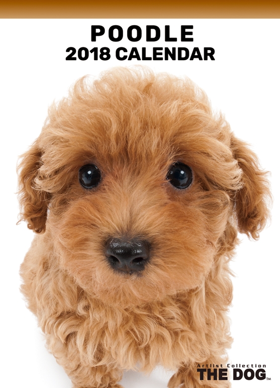 THE DOG 2018年卓上カレンダー プードル
