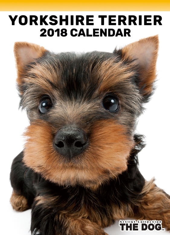 THE DOG 2018年卓上カレンダー ヨークシャー・テリア