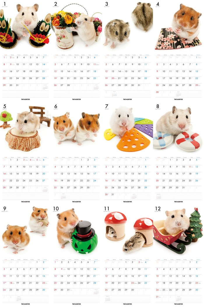 The Hamster 17年 カレンダー オーナーグッズ 通販