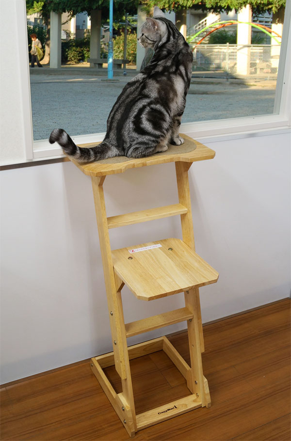 ドギーマン 木製 猫専用見晴らし台 使用イメージ2