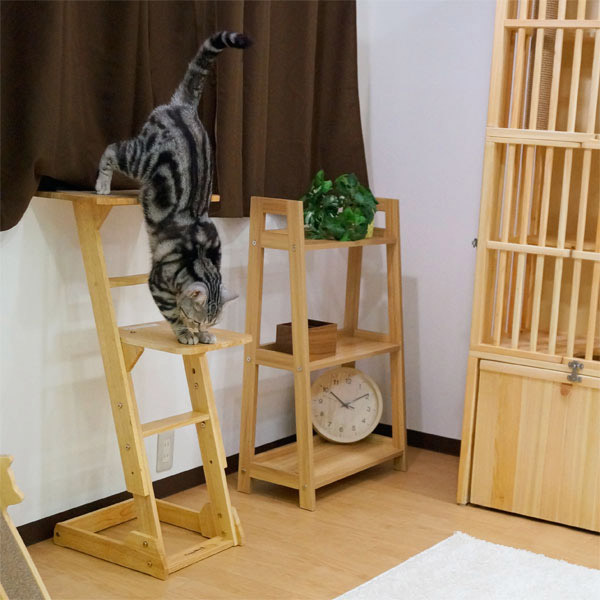 ドギーマン 木製 猫専用見晴らし台 使用イメージ4