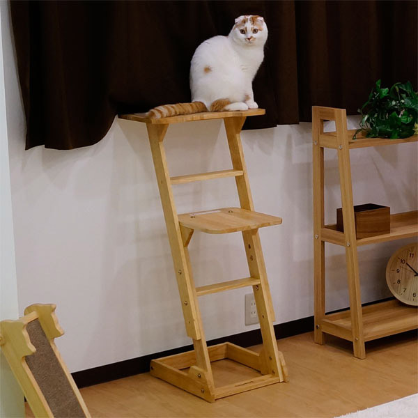 ドギーマン 木製 猫専用見晴らし台 使用イメージ7