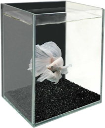 Gex グラステリア ベタ ブラック 熱帯魚 アクアリウム 通販
