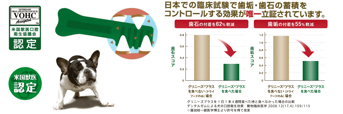 グリニーズ説明1