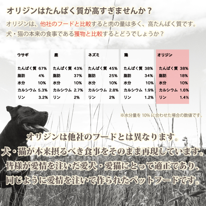 脂肪16%以上(脂質が多い) : オリジン(Orijen) / シニア犬(高齢犬)用