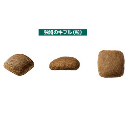 ロイヤルカナン ゴールデンレトリバー 成犬・高齢犬用 12kg / 送料無料