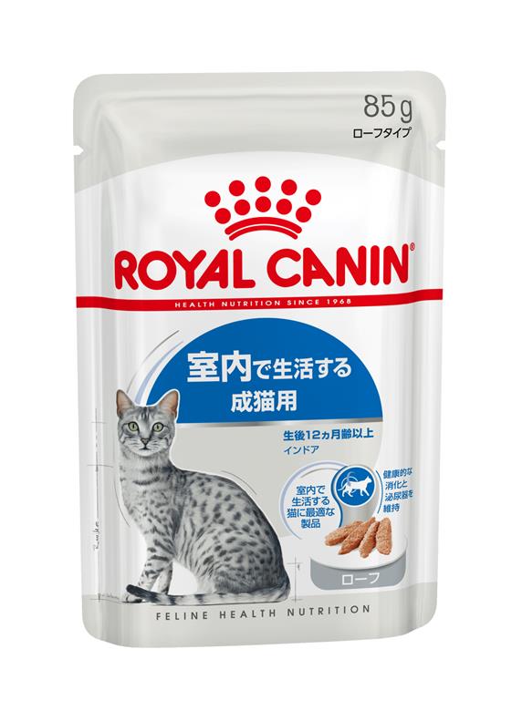 市場 Pet館 Yahoo 店ロイヤルカナン 猫用 キャット インドア 4kg×2袋
