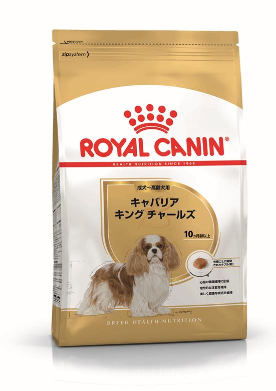 ロイヤルカナン キャバリアキングチャールズ 成犬・高齢犬用 3kg