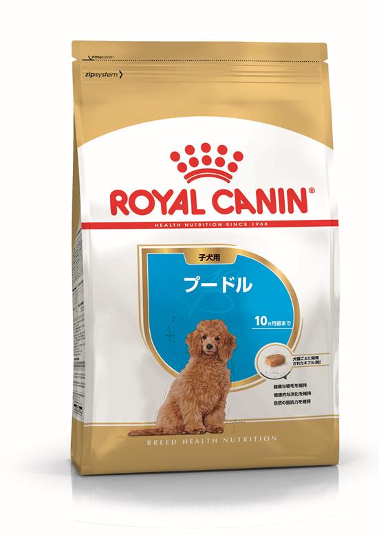 ロイヤルカナン プードル 子犬用 800g