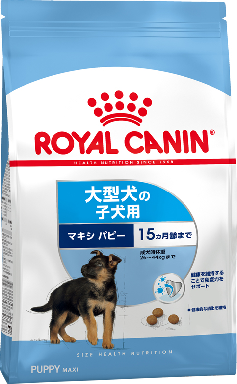 ロイヤルカナン SHN マキシ ジュニア 犬用 15kg