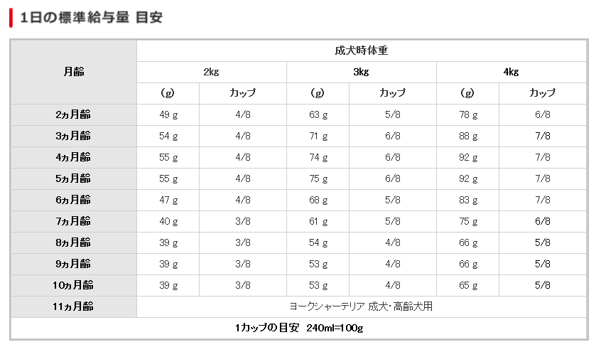 給与表