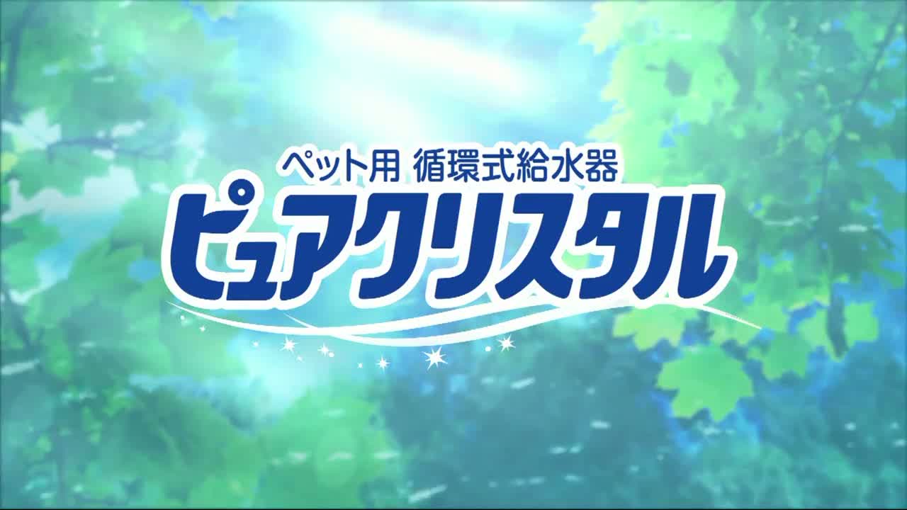 GEX ピュアクリスタル サークル・ケージ 子猫用動画1